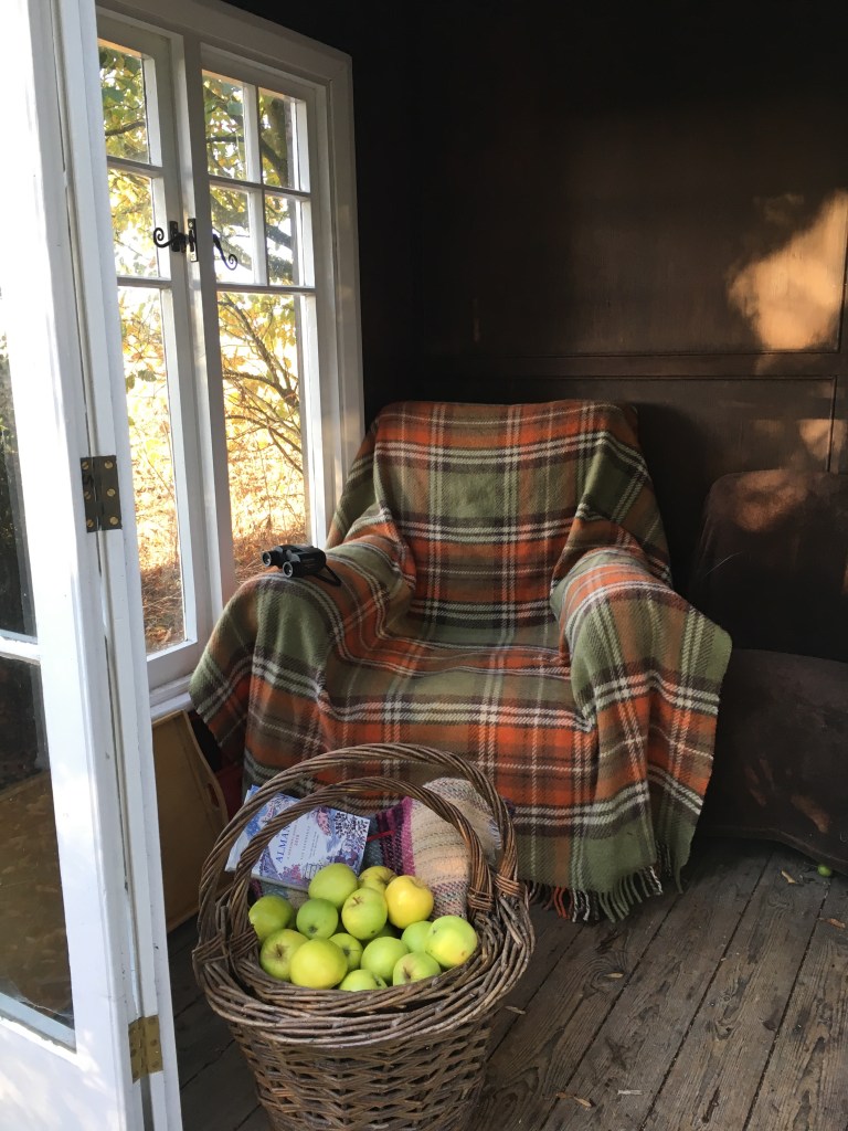 Apple and Almond Slice- Family Favourite Recipes | Bramble Garden